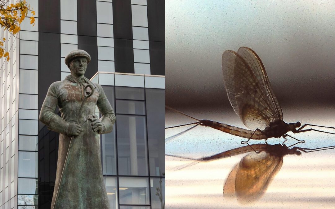 Nadis & Roy Exhibition