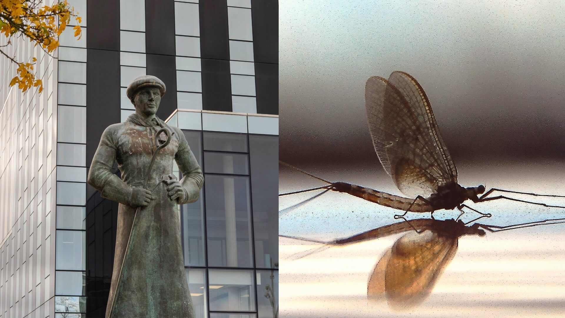 Denise-Roy-Exhibition-3.jpg 12 November 2025 312 KB 1920 by 1080 pixels Edit Image