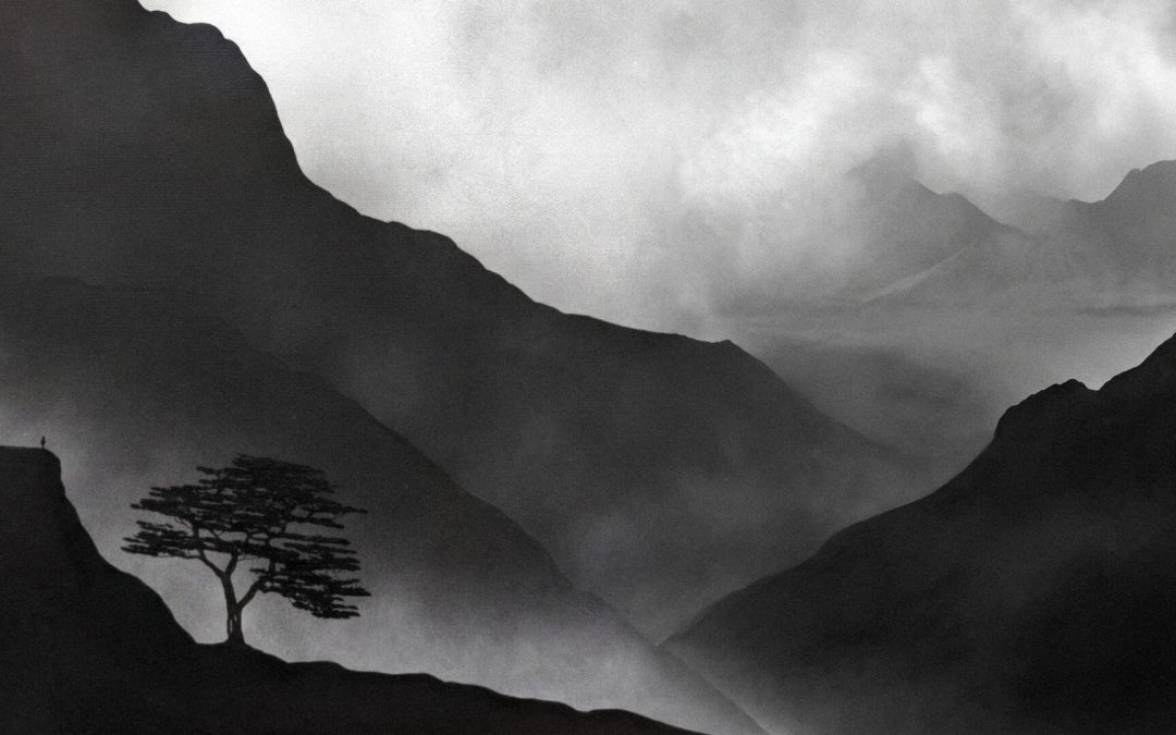 The Power of Monochrome